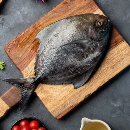 Fresh Jumbo Black pomfret Fish