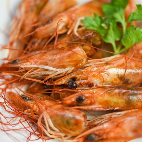 Fresh Prawns Big Head | Prawns Fish Price in Goa – Nuste.in