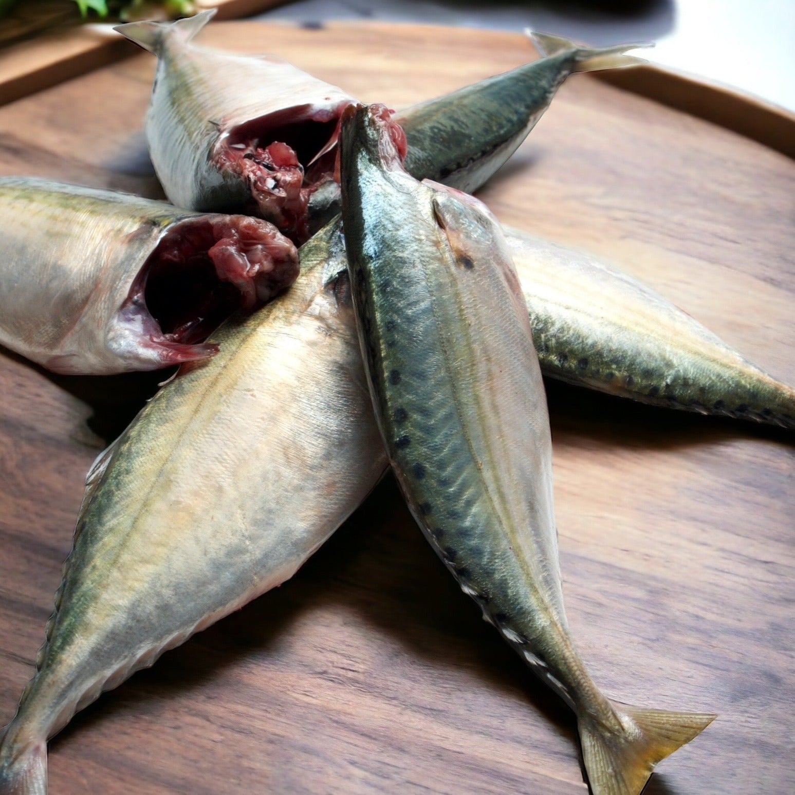 Buy fresh cleaned head off Mackerel fish | Goa Wholesale fish market ...