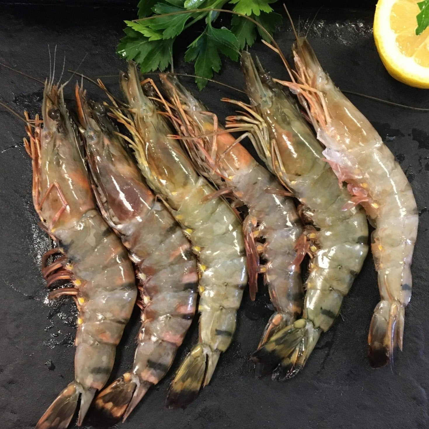Order Fresh Jumbo Prawns | Big Size, Best Price in Goa – Nuste.in