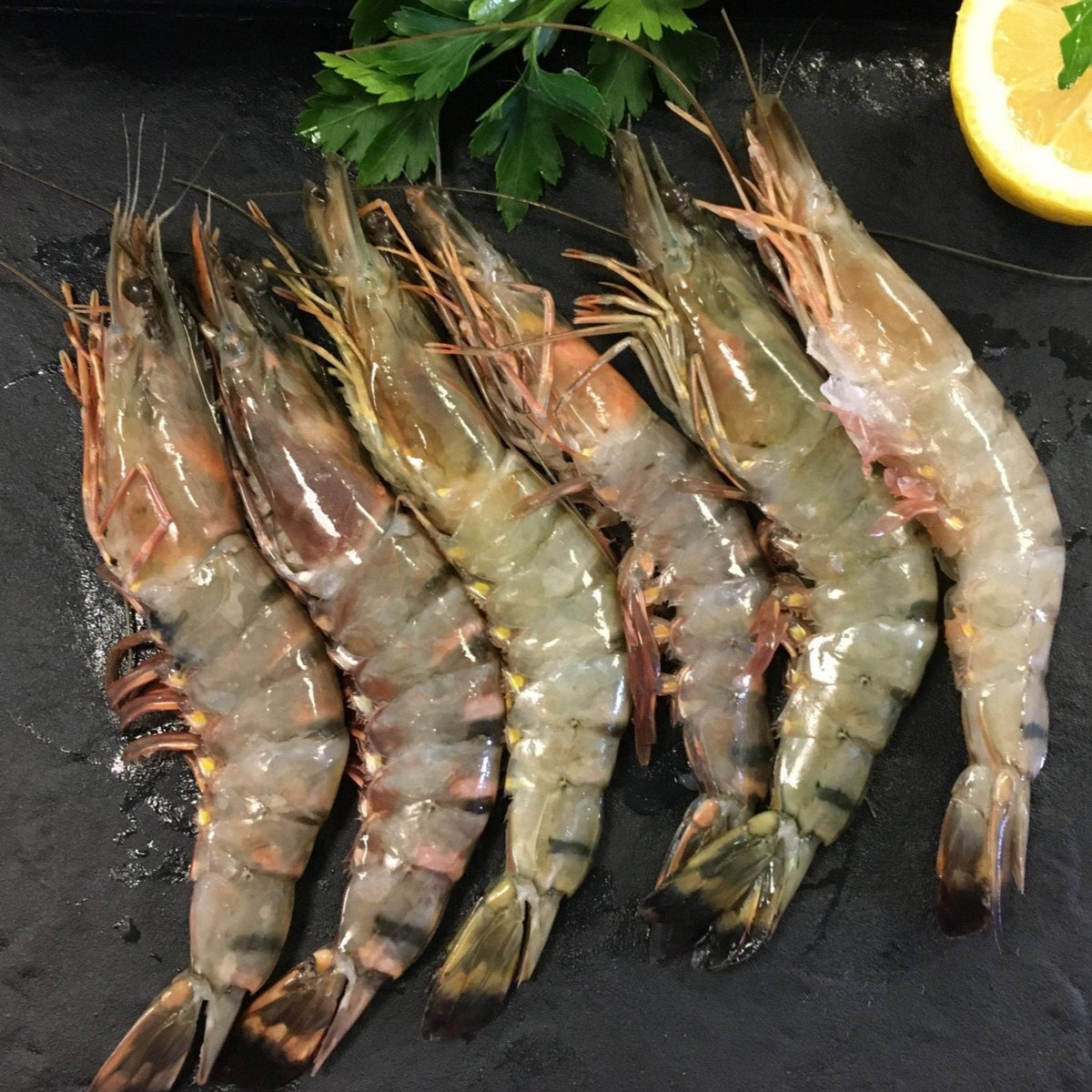 Prawn Fresh Shell Order Fresh Jumbo Prawns | Big Size, Best Price in Goa – Nuste.in