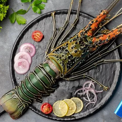 Buy Fresh Lobsters Fish Online Best Prices in Goa | FREE Delivery ...