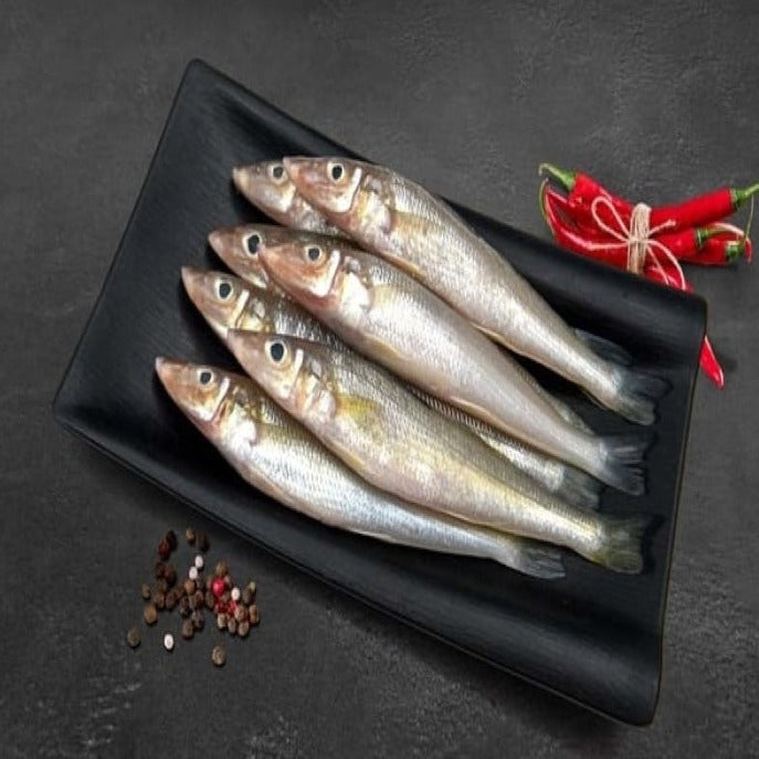 Buy Fresh Whole Goan Ladyfish at Best Price | Goa's Fish Seller – Nuste.in