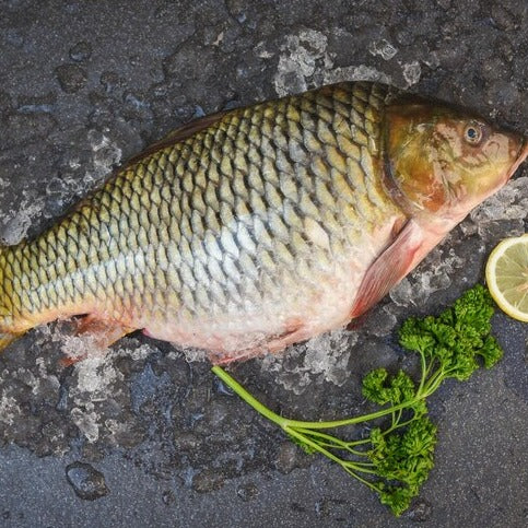 Fresh Goan Seawater palu Fish