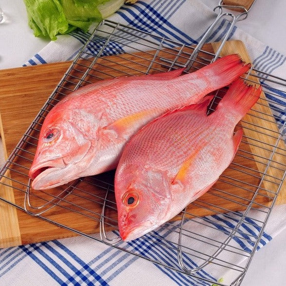 Fresh Local Baby Red snapper