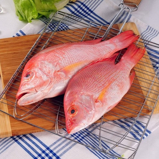 Seawater Fish – Nuste.in